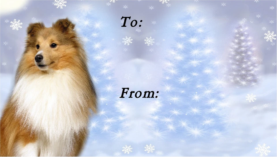 Shetland Sheepdog/Sheltie Xmas Labels by Starprint-No 1