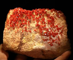 5" 2.4 lb Superb Cherry Red Vanadinite Crystals on Matrix,  Morocco! ! V255 - Picture 1 of 6