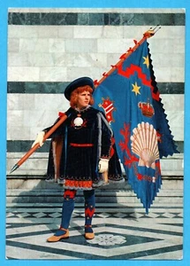 12-STORICHE CONTRADE SIENA-PAGGIO MAGGIORE DEL NICCHIO -CARTOLINA-NON VIAGGIATA - Picture 1 of 2