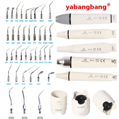 Dental Ultrasonic Scaler Handpiece/Tips/Wrench/fit EMS Woodpecker/NSK/SATELEC IT