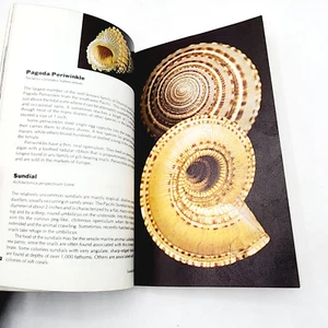 Seashells Shells of the Seven Seas Book R Tucker Abbott Color Guide - Picture 1 of 19