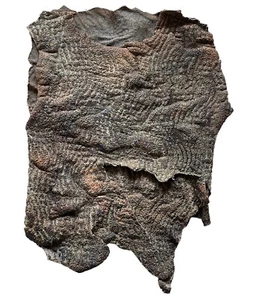 Planet Of The Apes 2001 Human Army Vest Costume Original Film Prop Fox COA - Picture 1 of 8