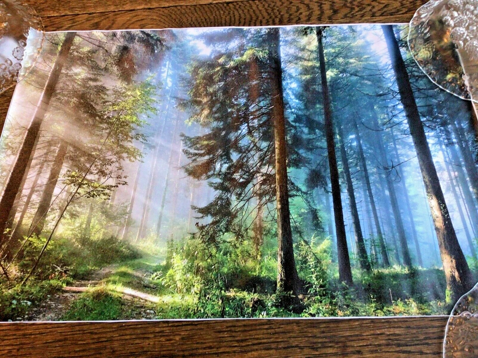 Gorgeous Peaceful Forest Scene 12x18” vinyl canvas POSTER, WALL ART, New i - Image 1 of 1