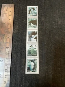 British Antarctic Territory Bird Set Stamp - Foto 1 di 5