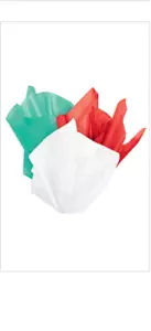 20 x 15" Urlaub Weihnachten sortiert rot grün Seidenpapier 60 Blatt Versand flach - Bild 1 von 1