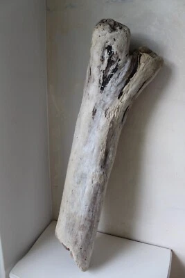 XL Treibholz Schwemmholz Skulptur Ast Stamm Norwegen 73 cm Garten Deko Shabby - Bild 1 von 4