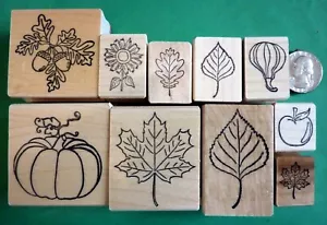 Surtido de hojas/cosecha otoño, otoño, juego de sellos de goma montados en madera de (10) - Imagen 1 de 1