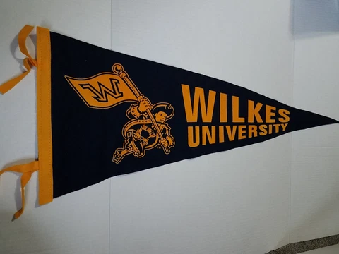 VINTAGE WILKES UNIVERSITY COLLEGE PENNANT WILKES BARRE PA Cover