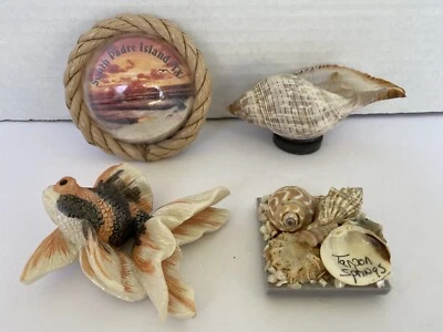 Florida South Padre Island playa refrigerador imanes arena pescado cáscaras conjunto de 4 Foto 1 de 4