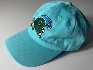 Tulanne Green Waves Sky Blue Hat Cap 2024 Gasparilla Bowl Wave Tampa Football - Picture 1 of 5