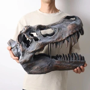 Tyrannosaurus Rex Skull Model Limited Collectible Dinosaur Statue New In Stock - Picture 1 of 17