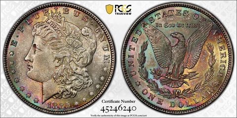 1885-P Morgan Dollar PCGS MS64 Attractive Dual Side Color Rainbow Toned w/Video Cover