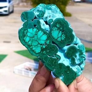 1.16LB Natural glossy Malachite transparent cluster rough mineral sampl - Picture 1 of 19