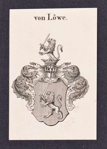 LOEWE Stemma leone stemma araldica araldica genealogia incisione su rame 1820