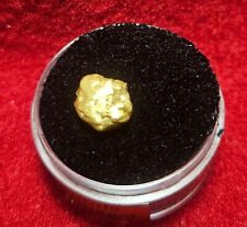 California Natural Gold Nugget 2.8 Grams  weight in a Gem jar w/lid