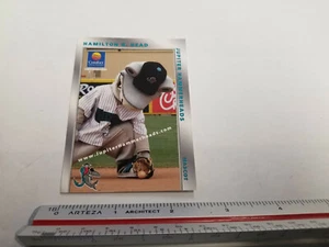 Jupiter Hammerheads Minor Baseball 2009 Hamilton R. Head Mascot Trading Card - Picture 1 of 2