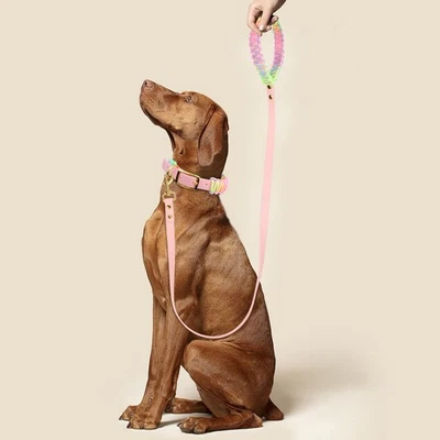 Pet Dog Durable Adjustable Head Collars Traction Rope Hand Holding Puppy Outdoor - Imagem 1 de 4