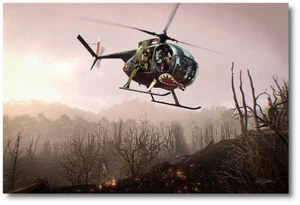 Angry Bird von Peter Chilelli - Hughes OH-6 Cayuse - Luftfahrt Kunstdruck - Bild 1 von 1