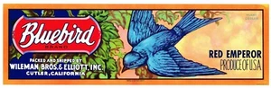 ETIQUETA CAJA ARTE PUBLICITARIO BLUEBIRD VINTAGE AÑOS 50 UVAS ORIGINALES CALIFORNIA - Imagen 1 de 1