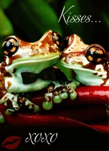 Happy Valentine's Day Lover Frog Frogs Hugs & Kisses XOXO Blank Greeting Card - Picture 1 of 2