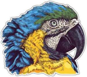 Parrot Macaw Head Bird Zoo Car Bumper Window Sticker Decal 4.6"