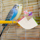 POPETPOP Parrot Toys Bird Foraging Toys - Bird Bite for Various Birds