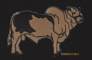 Brahman BULL RODEO COW CATTLE HAT PATCH HERD QUILT RANCH COWBOY PIN UP GIFT! - Picture 1 of 17