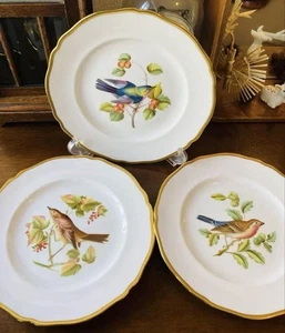 Spode Bird Plate Set di 3 Audubon - Foto 1 di 11
