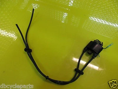 BOBINA DE ENCENDIDO YAMAHA WAVERUNNER WAVE RUNNER WJ500 WR500 WJ WR 500 WAVEJAMMER  Foto 1 de 4