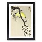 Chinese Oriole Bird On A Plum Blossom Ohara Koson Wall Art Print Framed Picture