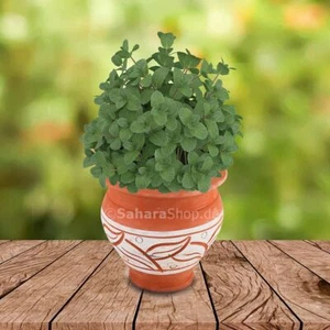 Marokkanischer Keramik-Blumentopf Kora 3 Ton Natur - Bild 1 von 1