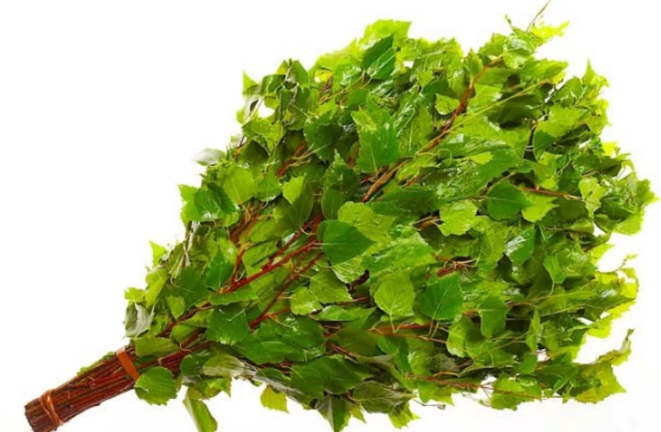 Birkenreisig Wenig Sauna Banja ДЛЯ БAHИ Бepeзoвый вeник  - Bild 1 von 1