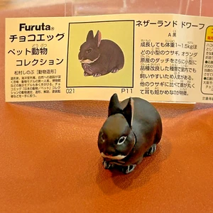 Netherland Dwarf rabbit Kaiyodo Pet Animal Collection Figure Chocolate egg - Picture 1 of 6