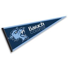 Baruch College Bearcats 12 in X 30 in College Pennant