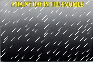 A Rainy Day in the Smokies Postcard Postmarked Charlotte NC. 1991 - Picture 1 of 2