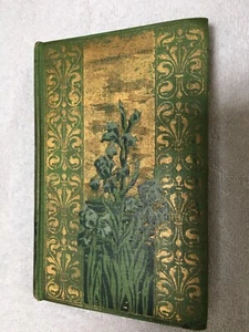 antique Book c.1898 Treasure Island by  Robert Louis Stevenson pub.Caldwell Co. - Foto 1 di 16