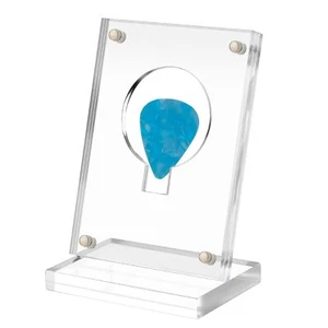Clear Guitar Pick Display Case Guitar Pick Stand Holder Collectible Easel - Picture 1 of 6