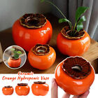 Ceramic Orange Persimmon Hydroponic Vase Home Creative Tabletop  Pot Decorative