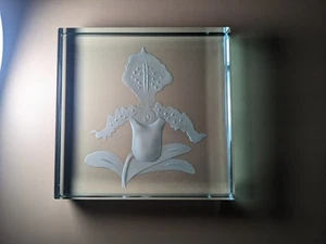 Mary T Anderson BEARDED IRIS Hand Etched Flower Glass Block 3 7/8" Square Signed - Picture 1 of 10