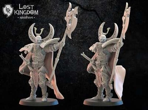 Junichiro on Foot: Lost Kingdom Miniatures Night Elves Resin 3D Print - Picture 1 of 1