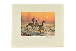 1988 Oregon Waterfowl Great Basin Canada Geese Print- Signed Numbered D. Davis - Picture 1 of 6