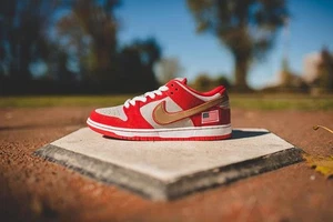 Nike SB Dunk Low Nasty Boys - Picture 1 of 12