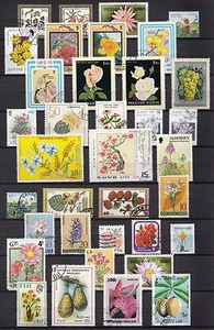 101403/ Blumen und Pflanzen - schönes Lot - o - nichts gerechnet - siehe scan - Bild 1 von 1