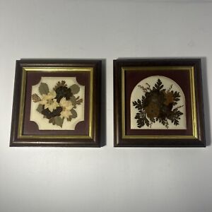 Duo Of Joanna Sheen Pressed Flower Designs Picture 6" x 6" Vintage Wooden Frame