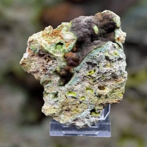 WAVELLITA Palazuelo de las cuevas, Zamora ESPAÑA MINERALES COLECCION 8x7x2cm K41 - Imagen 1 de 13