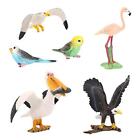 5x Birds Animal Figures Eduactional Toy for Toddlers Children Birthday Gifts