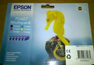 T0487 EPSON Genuine INK CARTRIDGES T0481 T0482 T0483 T0484 T0485 T0486 - Picture 1 of 7