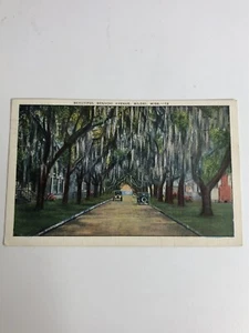 Vintage Post Card 1939 Beautiful Benachi Avenue Biloxi, Mississippi - Picture 1 of 4