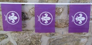 International Scouting Scout Bewegung Flagge Polyester Wimpelkette - verschiedene Längen - Bild 1 von 12