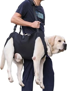 Dog Lifting Harness, Full Coverage One-Shoulder Handheld Dog Support Mobile - Picture 1 of 9